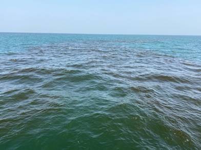 A body of water next to the oceanDescription automatically generated